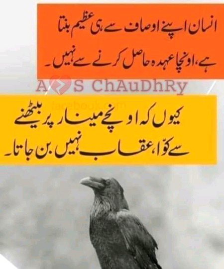 Good night