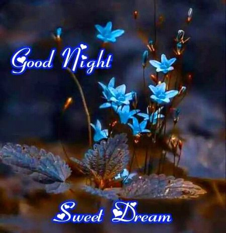 Good night