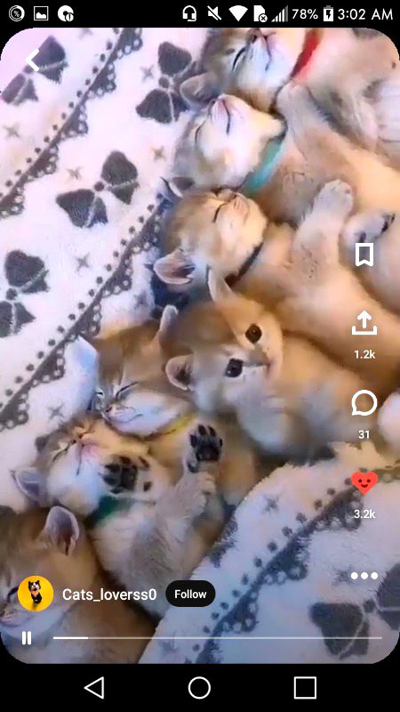 Beautiful Nature image