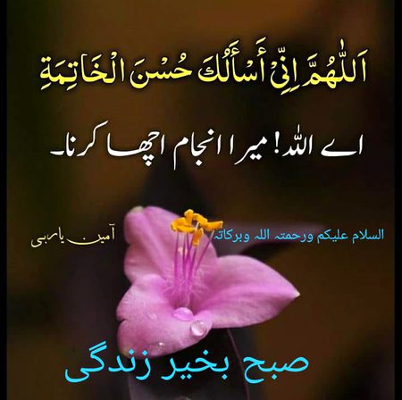 Islamic Quotes image