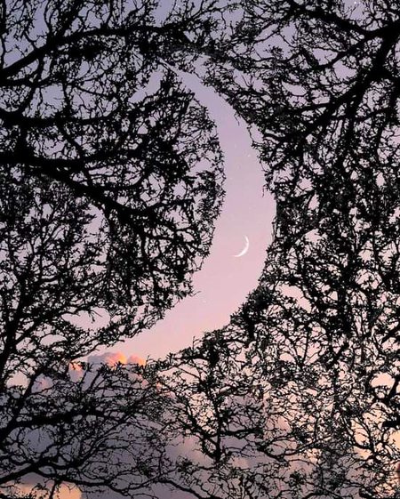 Beautiful Nature image