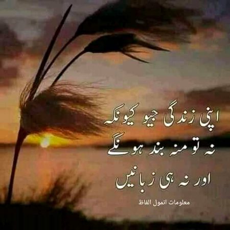 Good night