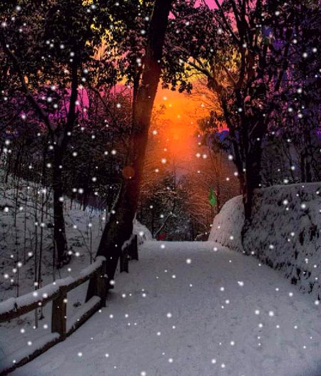 Good night