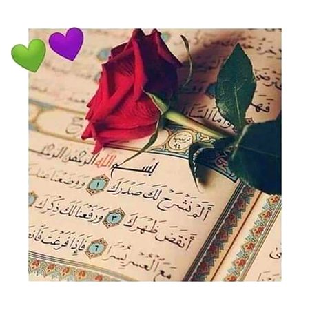 Good night