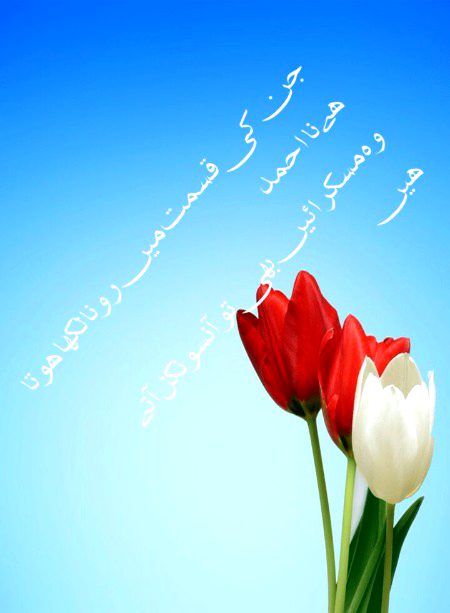 Sad Poetry image