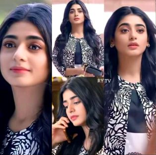 Pakistani Celebs image