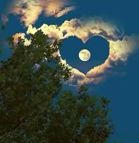 Beautiful Nature image