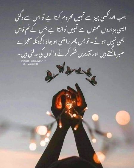 Good night