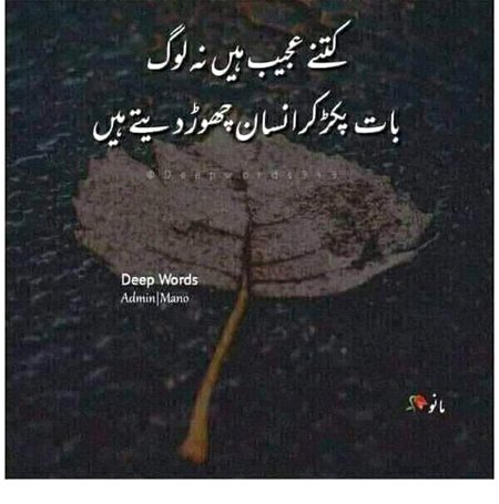 Good night