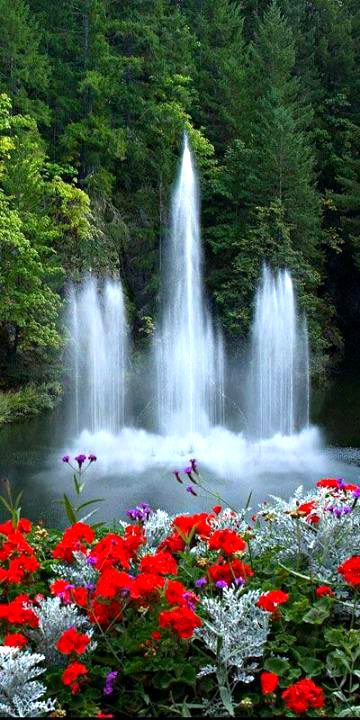 Beautiful Nature image