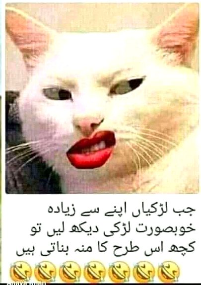 Good night