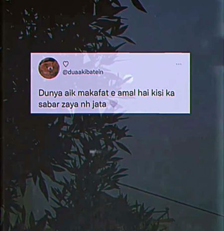 Life Advice image
