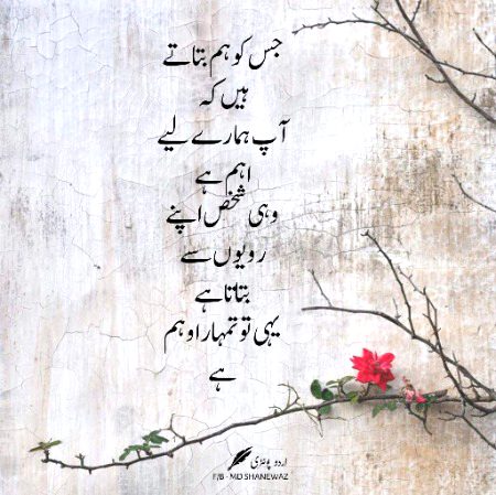 Attitude Quotes image