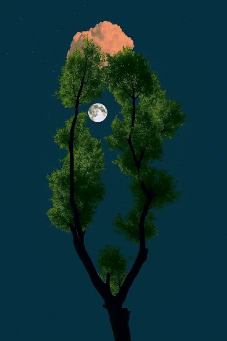 Beautiful Nature image