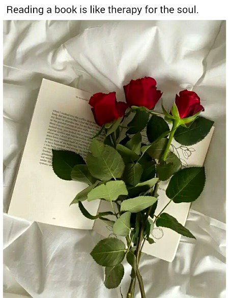 Memes & Satire image