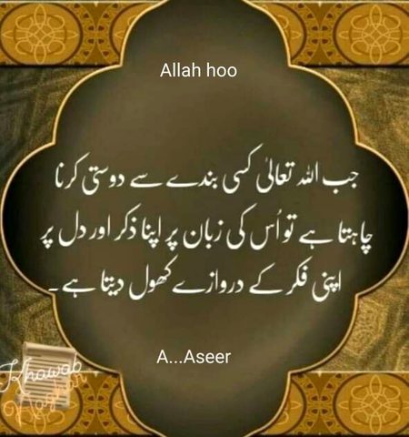 Islamic Quotes image