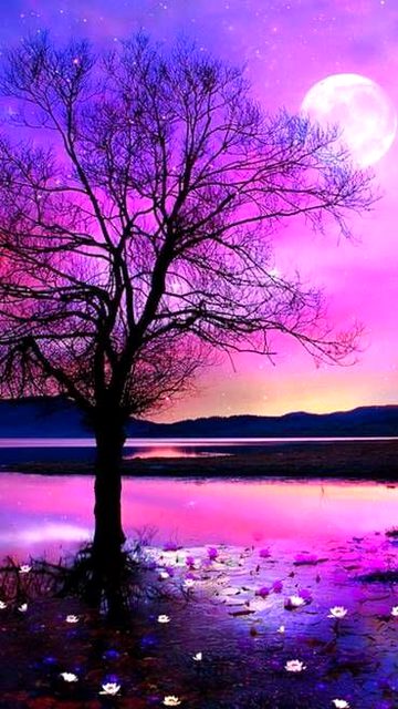 Beautiful Nature image