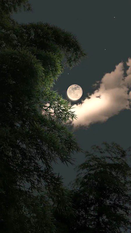 Beautiful Nature image