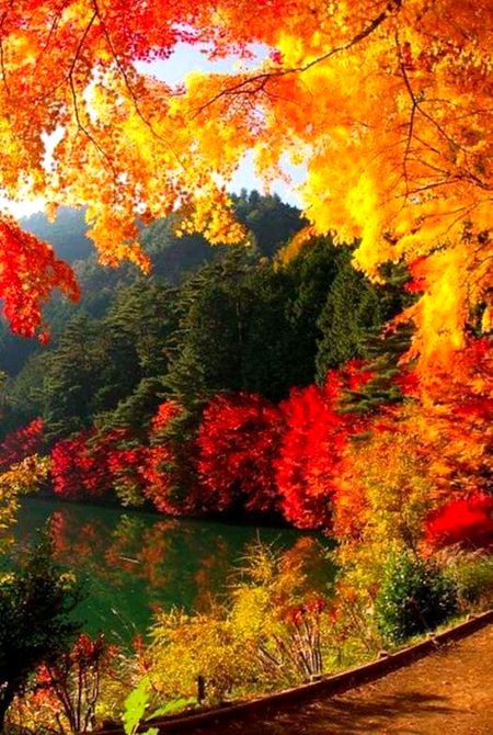 Beautiful Nature image