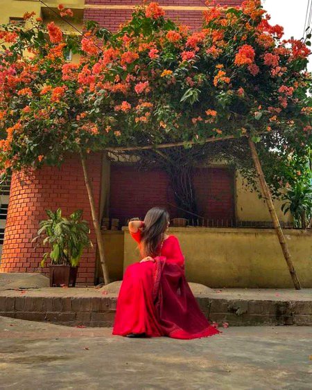 Beautiful Nature image