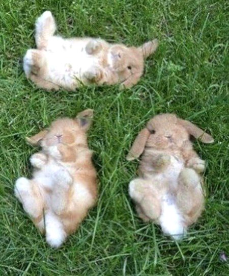 Beautiful Nature image