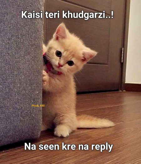 Memes & Satire image