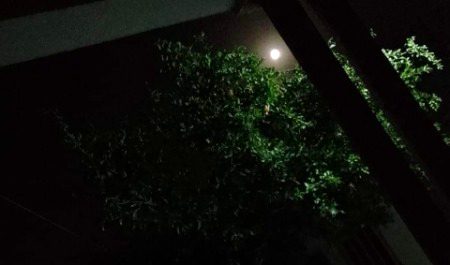 Good night