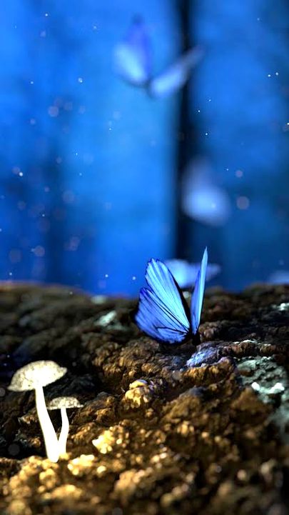 Beautiful Nature image