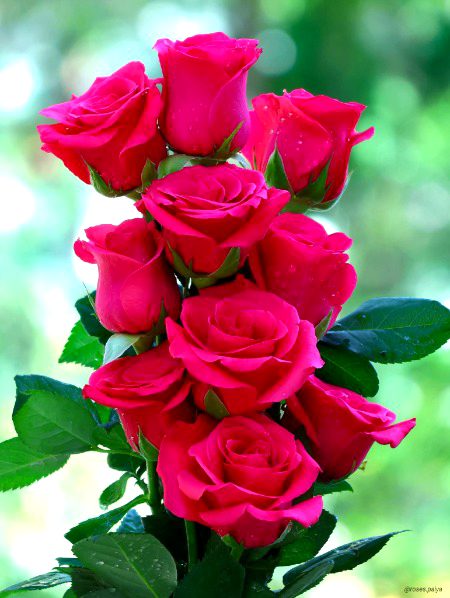 Good night