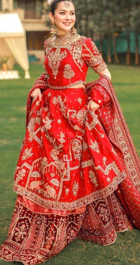 Pakistani Celebs image