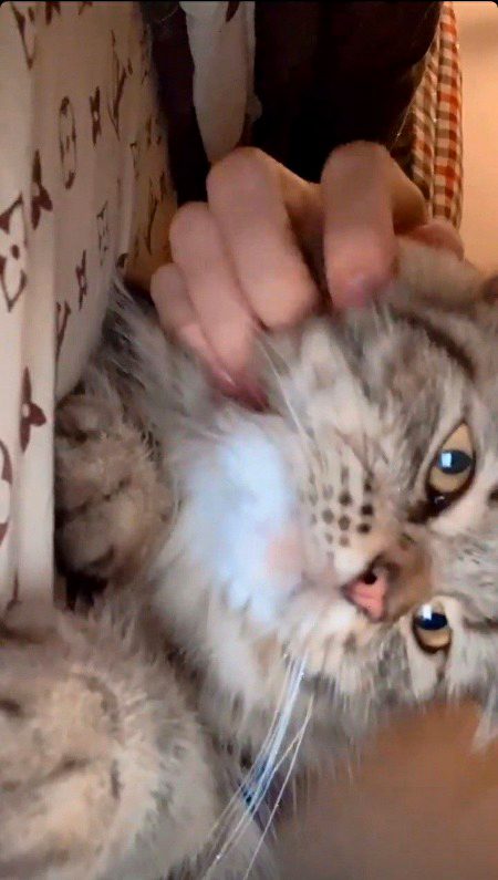 Beautiful Nature image