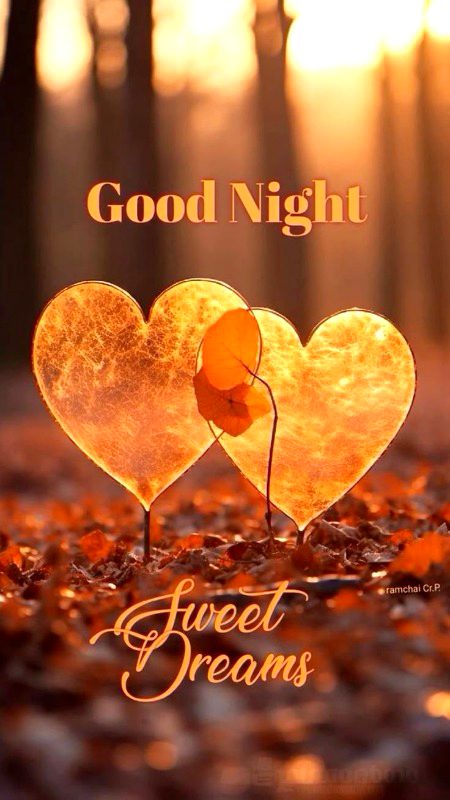 Good night