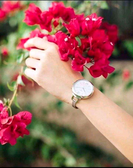 Beautiful Nature image