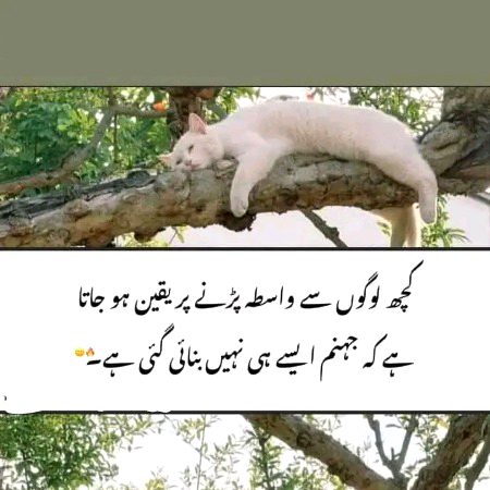 Good night