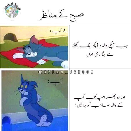 Memes & Satire image