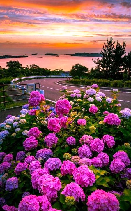 Good night