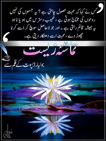 Romantic Novels image