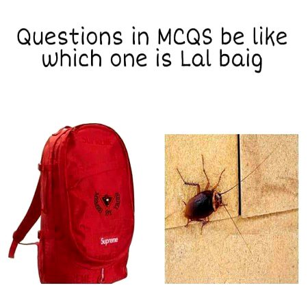 Memes & Satire image