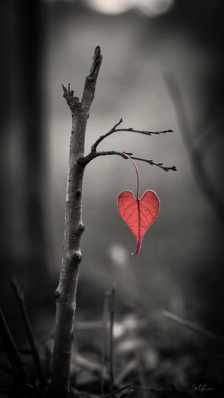 Beautiful Nature image