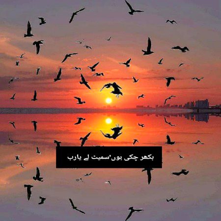 Good night