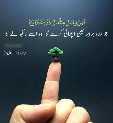 Islamic Quotes image