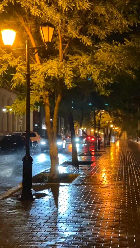 Beautiful Nature image