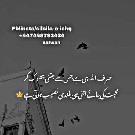 Islamic Quotes image