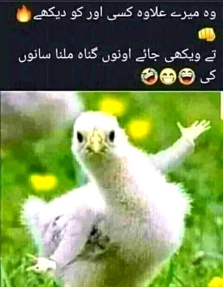 Jokes image