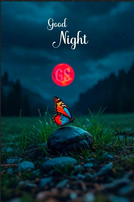Good night