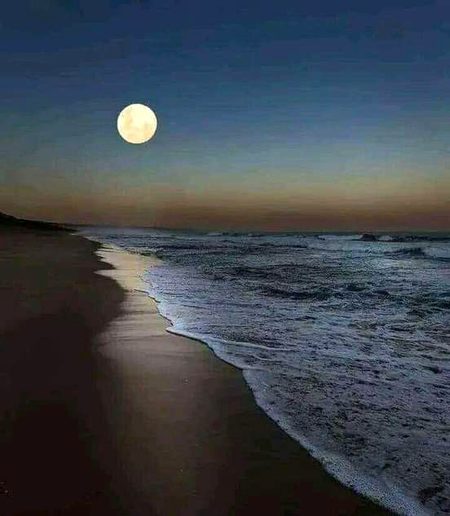 Beautiful Nature image