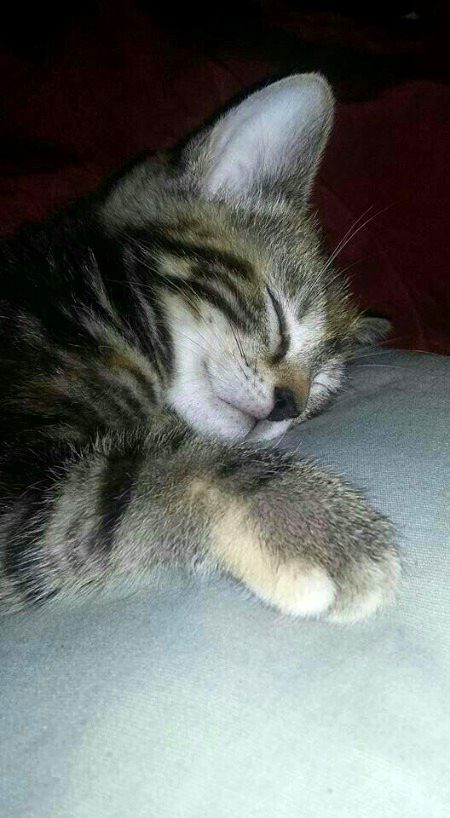 Beautiful Nature image