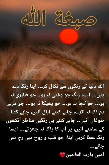 Good night