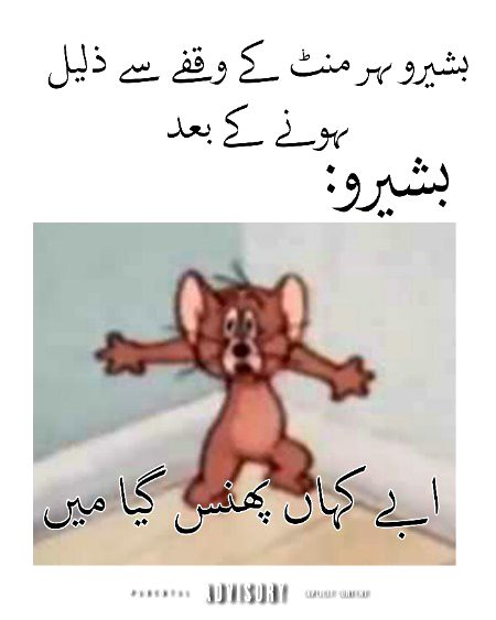 Damadam Roasting image