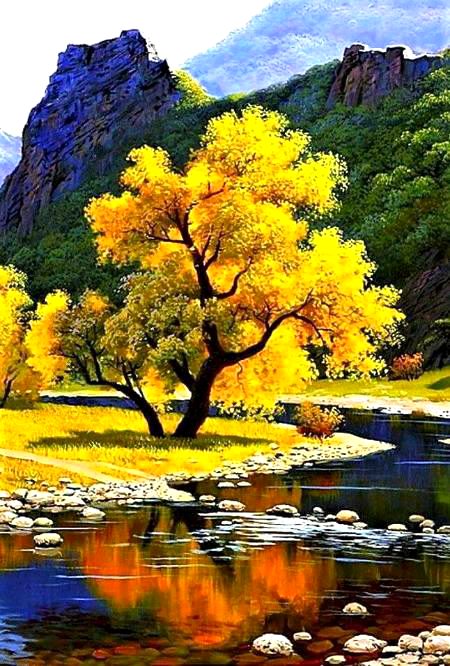 Beautiful Nature image